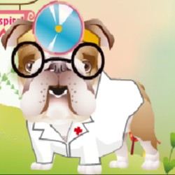 Dr. Bulldog's Pets Hospital Game